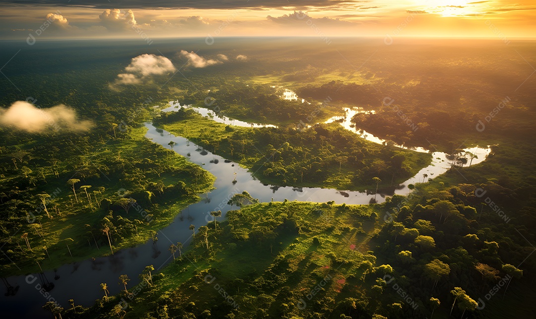 Vista aérea do rio passando sobre a mata