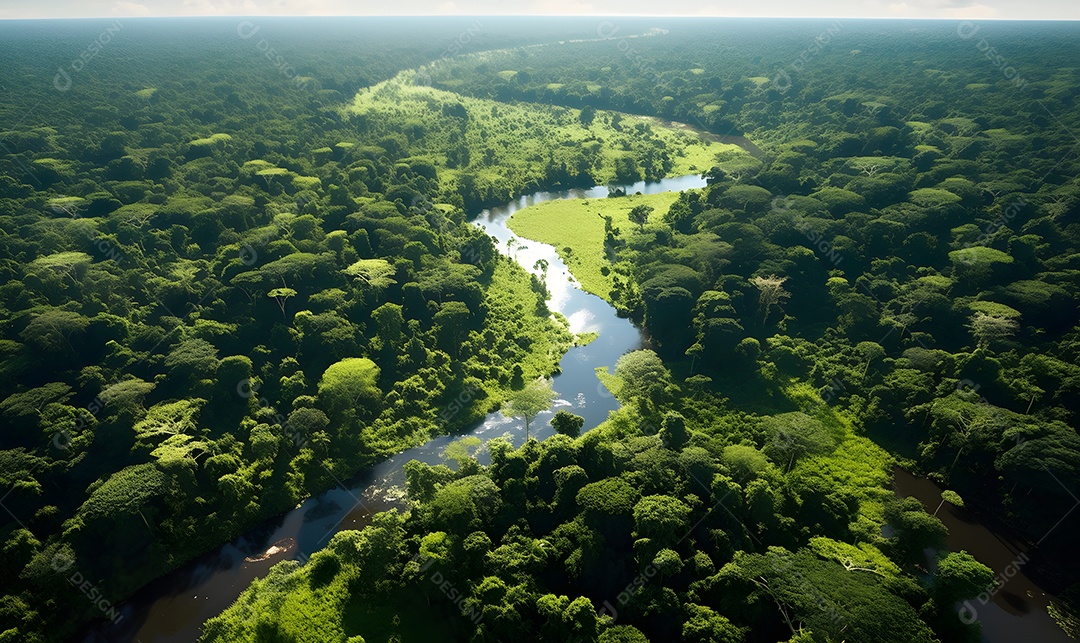 Vista de um rio passando sobre a floresta