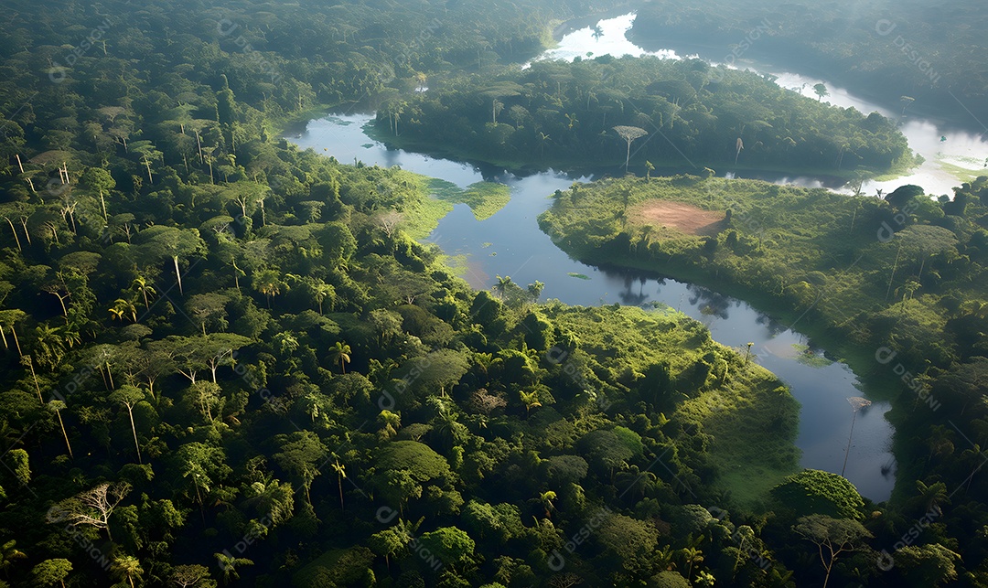 Vista de um rio passando sobre a floresta