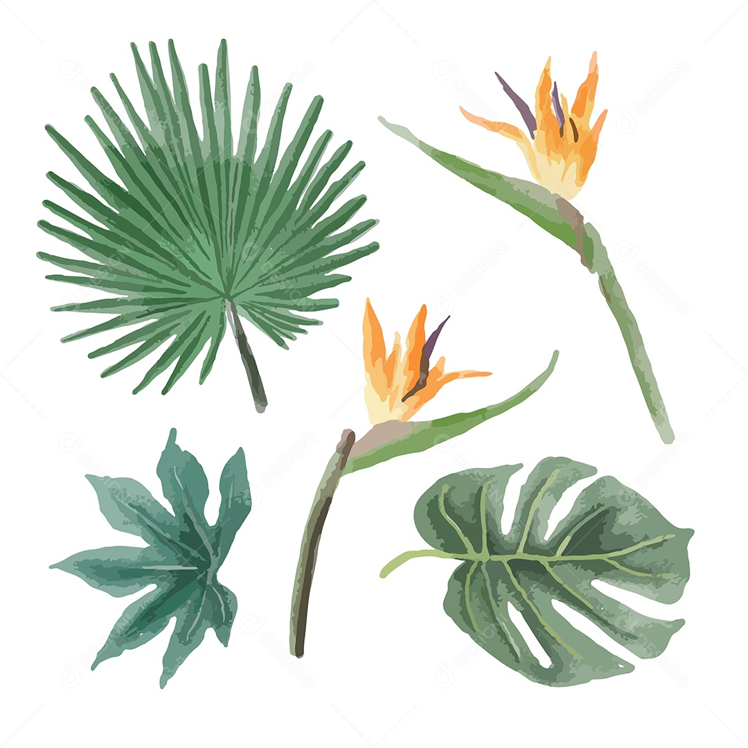 Folhas e Flores Ilustração Vetor EPS