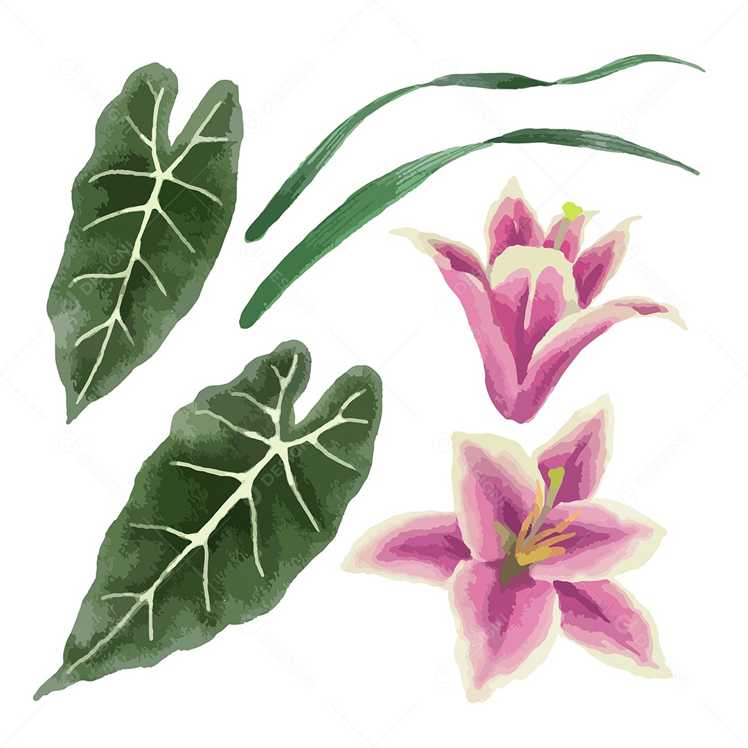 Folhas e Flores Ilustração Vetor EPS