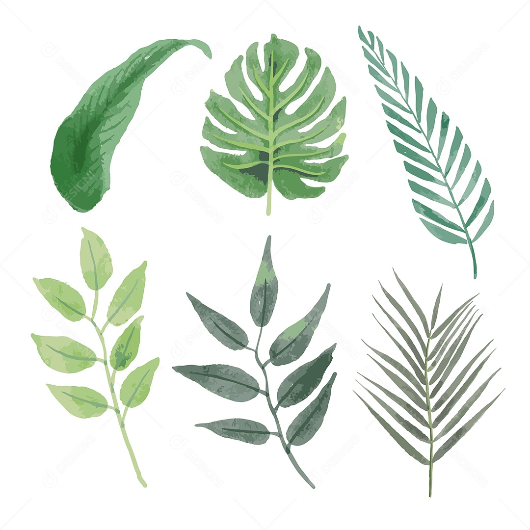 Folhas Ilustração Vetor EPS