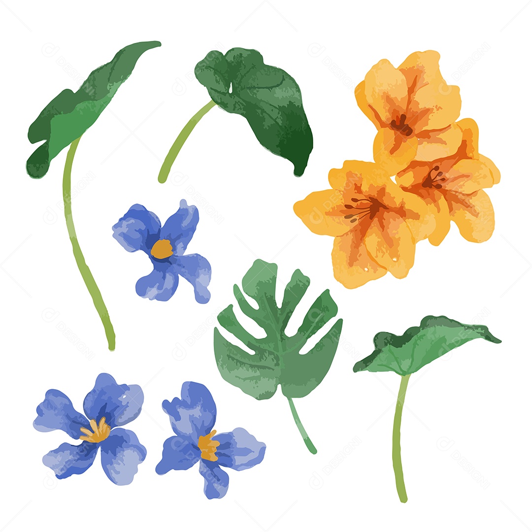 Flores Ilustração Vetor EPS