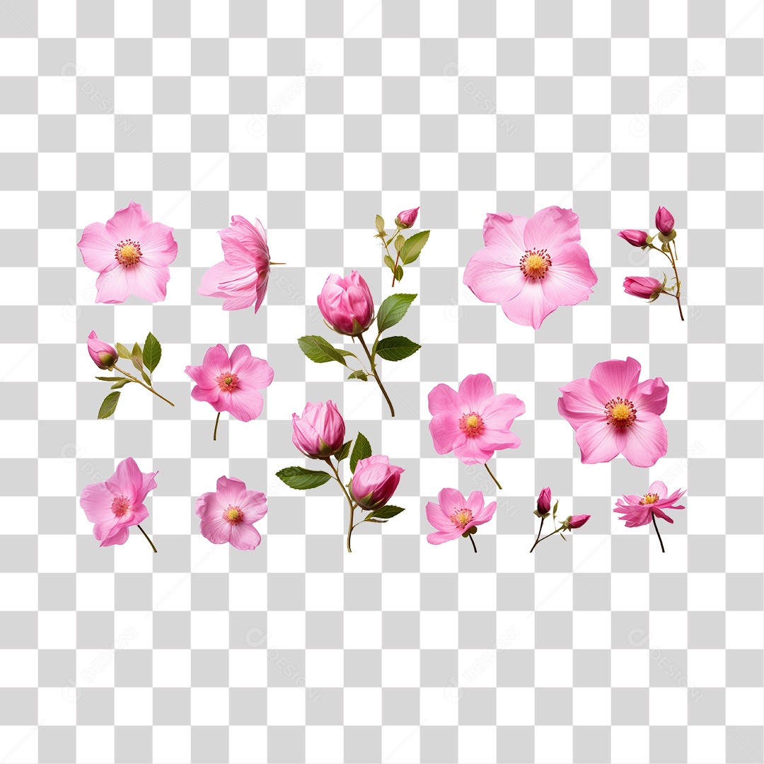 Flores Rosas PNG Transparente