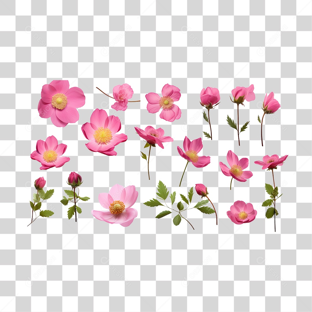 Flores Rosas PNG Transparente