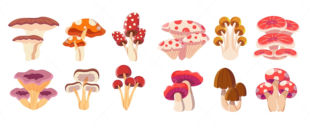 Cogumelo Ilustração Vetor EPS
