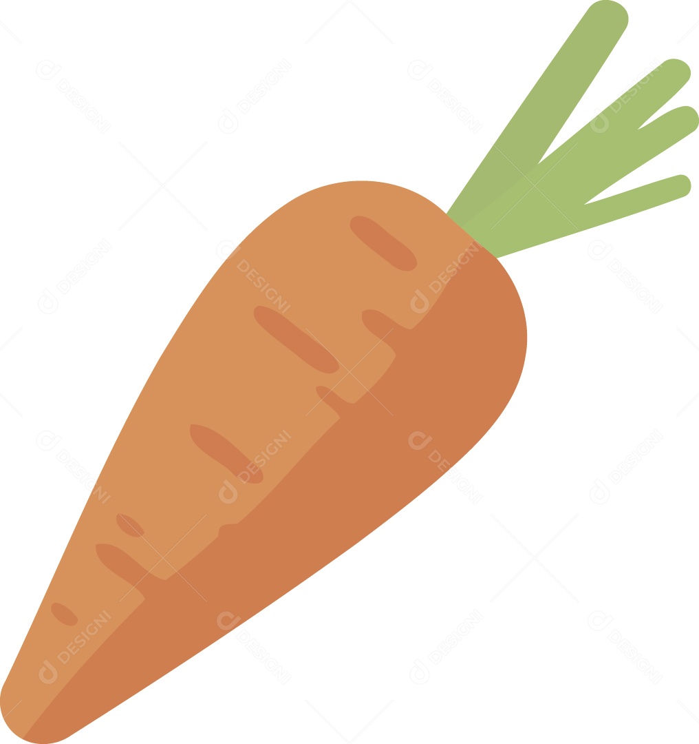 Cenoura Desenho Vetor EPS