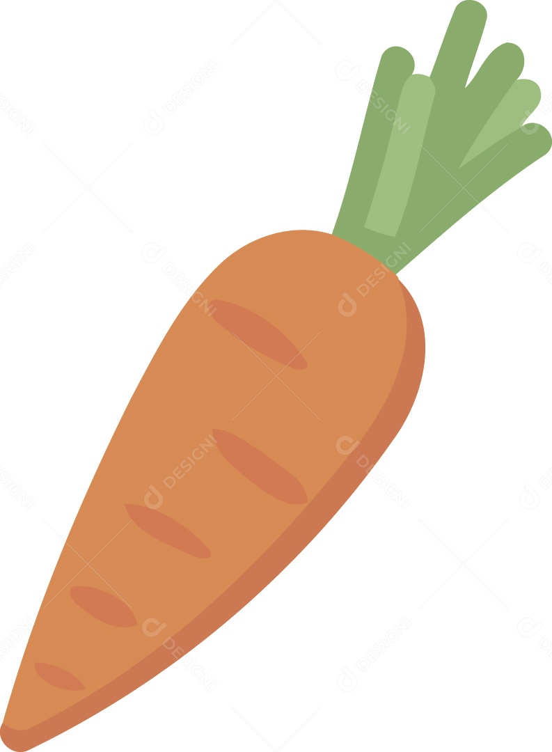 Cenoura Desenho Vetor EPS