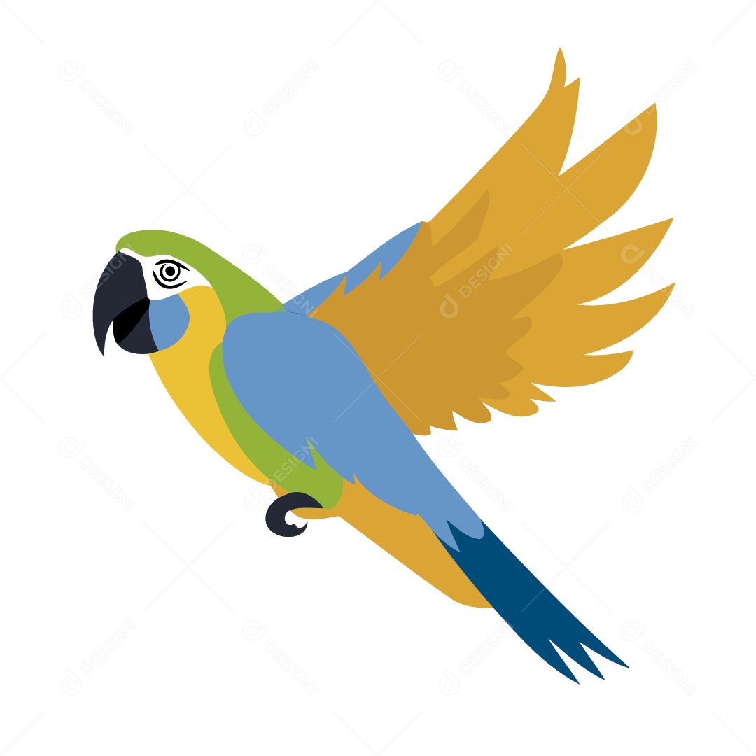 Arara Ilustração Vetor EPS