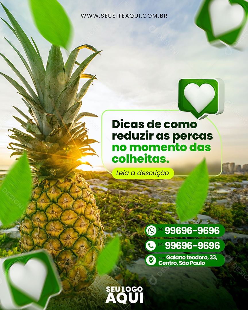 Momentos Das Colheitas Social Media PSD Editável