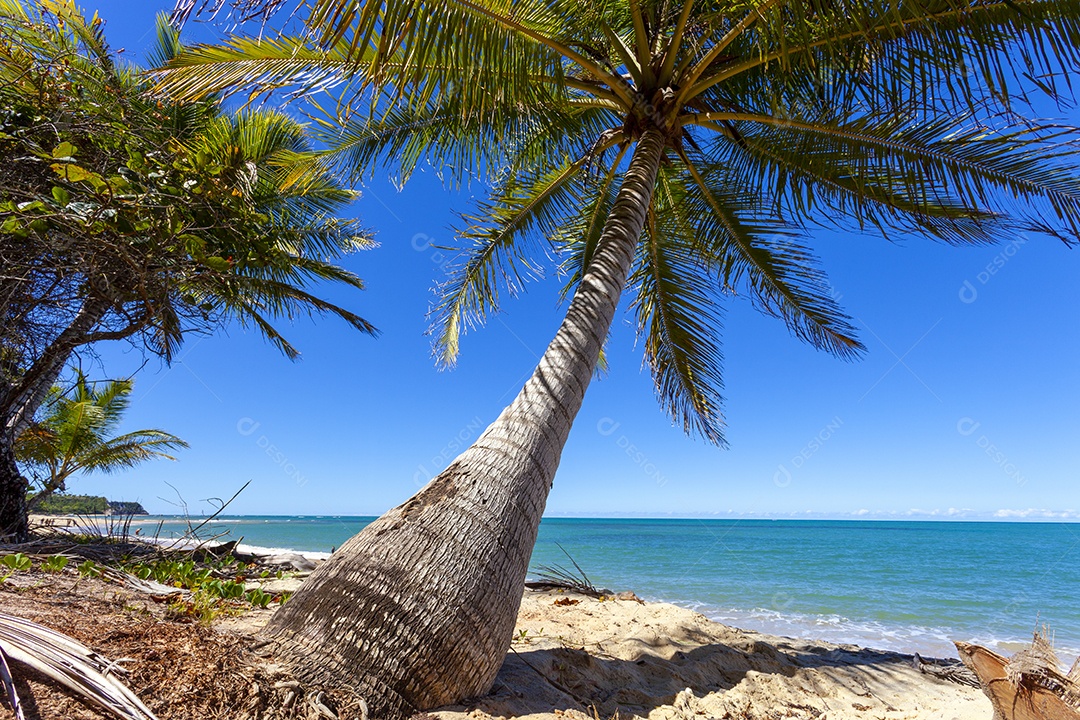 Praia arraial d’Ajuda