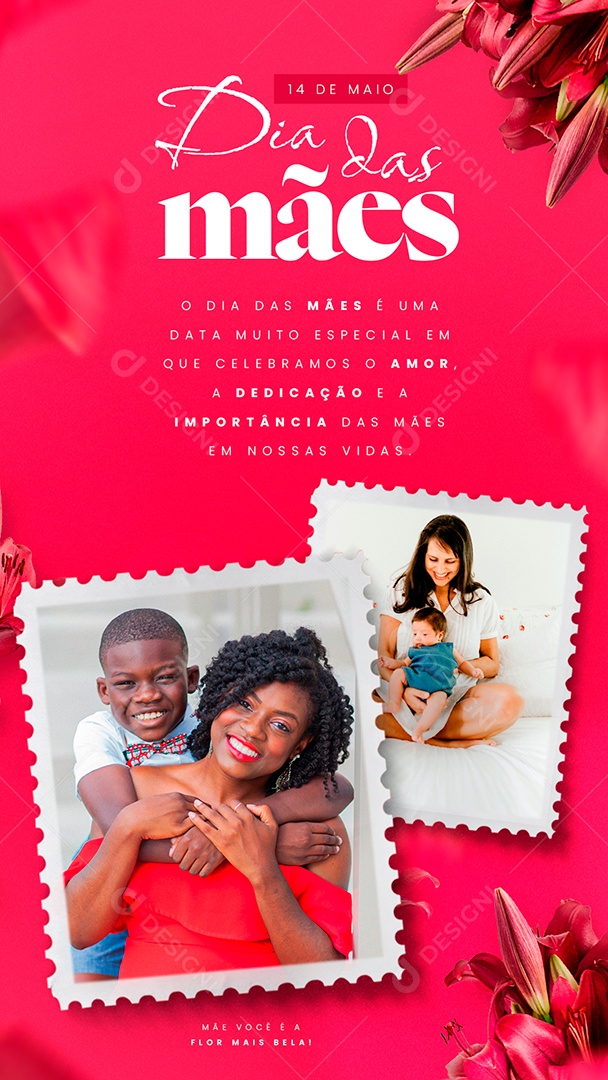 Story Dia Das Mães 14 de Maio Social Media PSD Editável