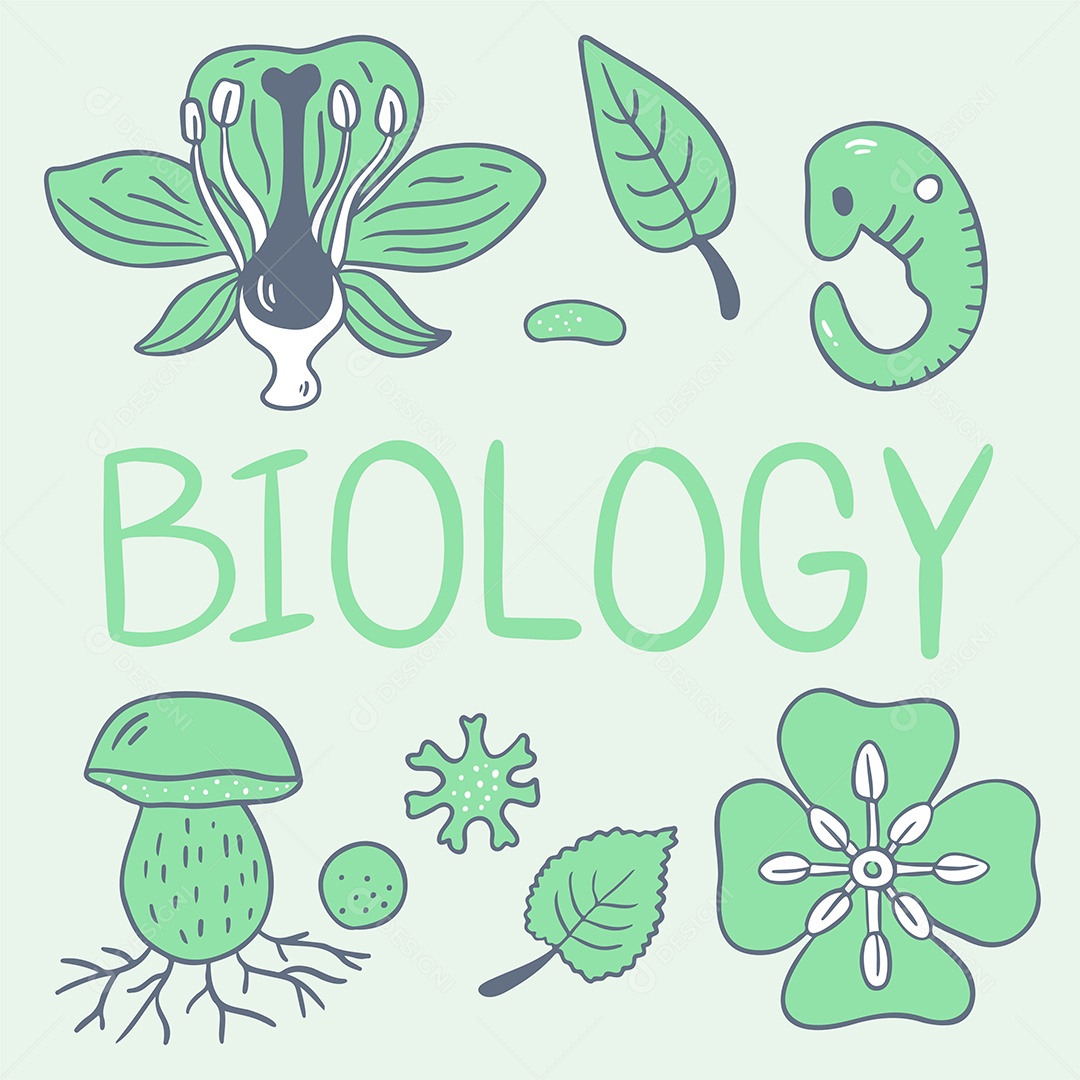 Plantas e Animais Para o Ensino de Ciências Biológicas EPS