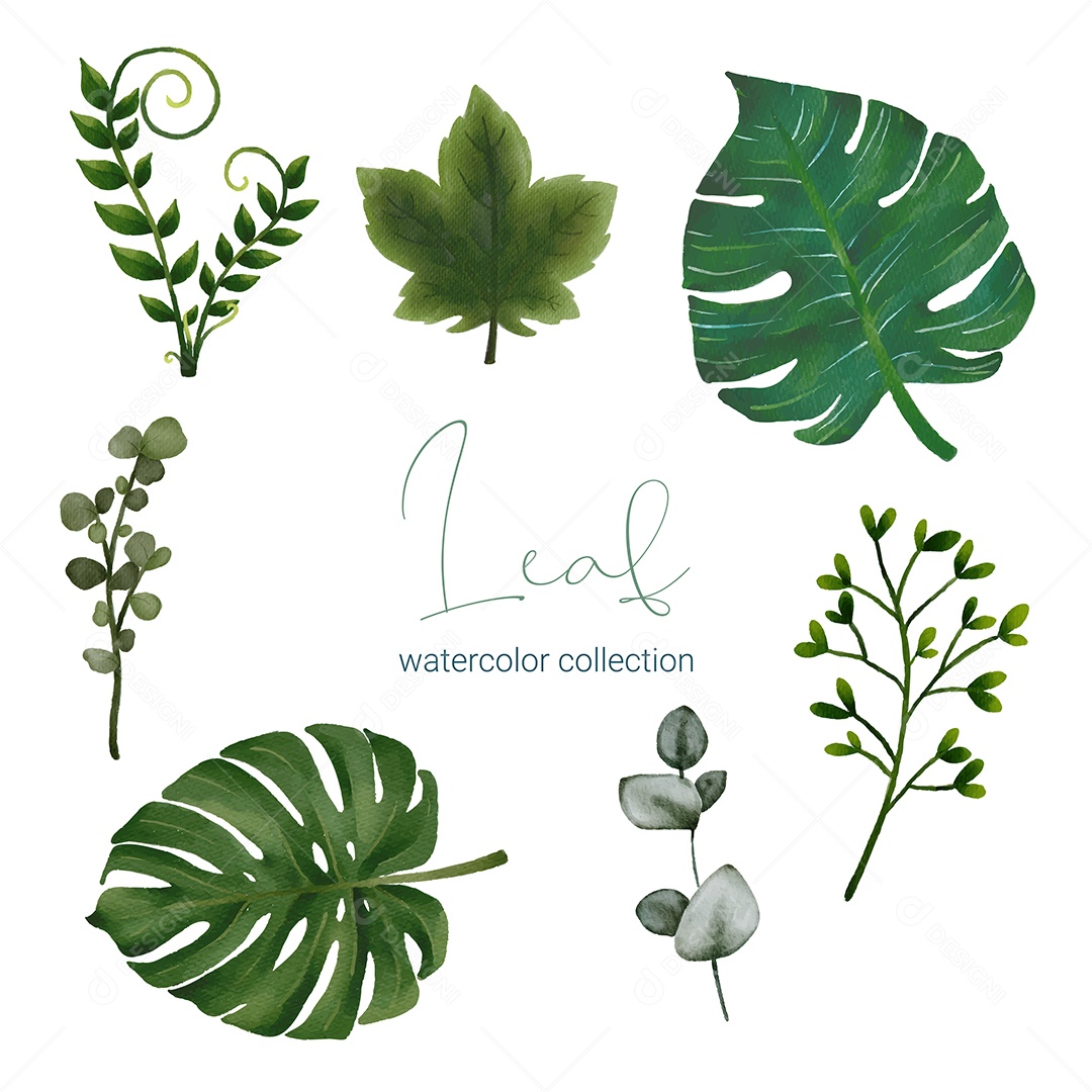 Lindo Buquê de Plantas Vetor EPS