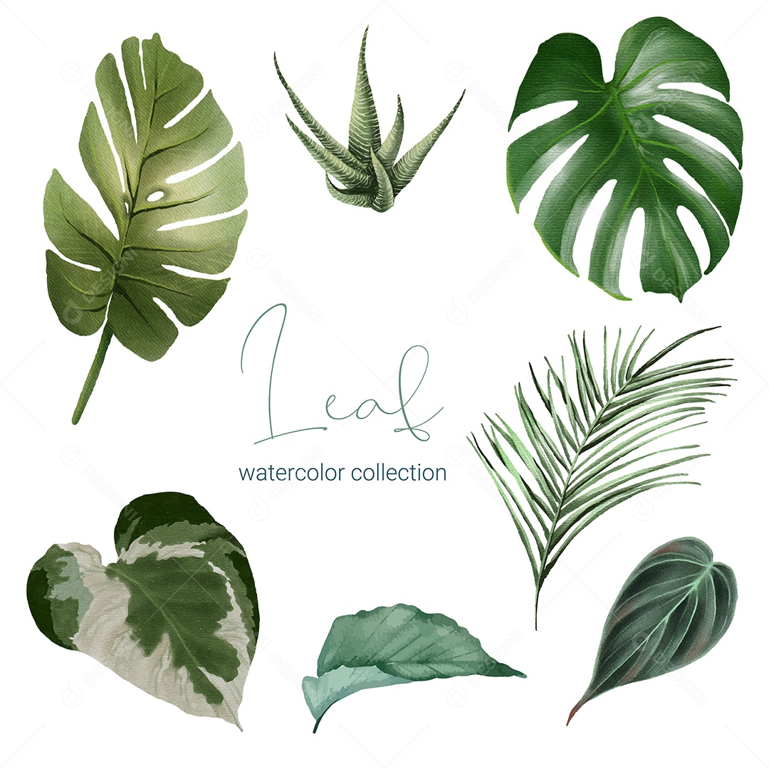 Lindo Buquê de Plantas Vetor EPS