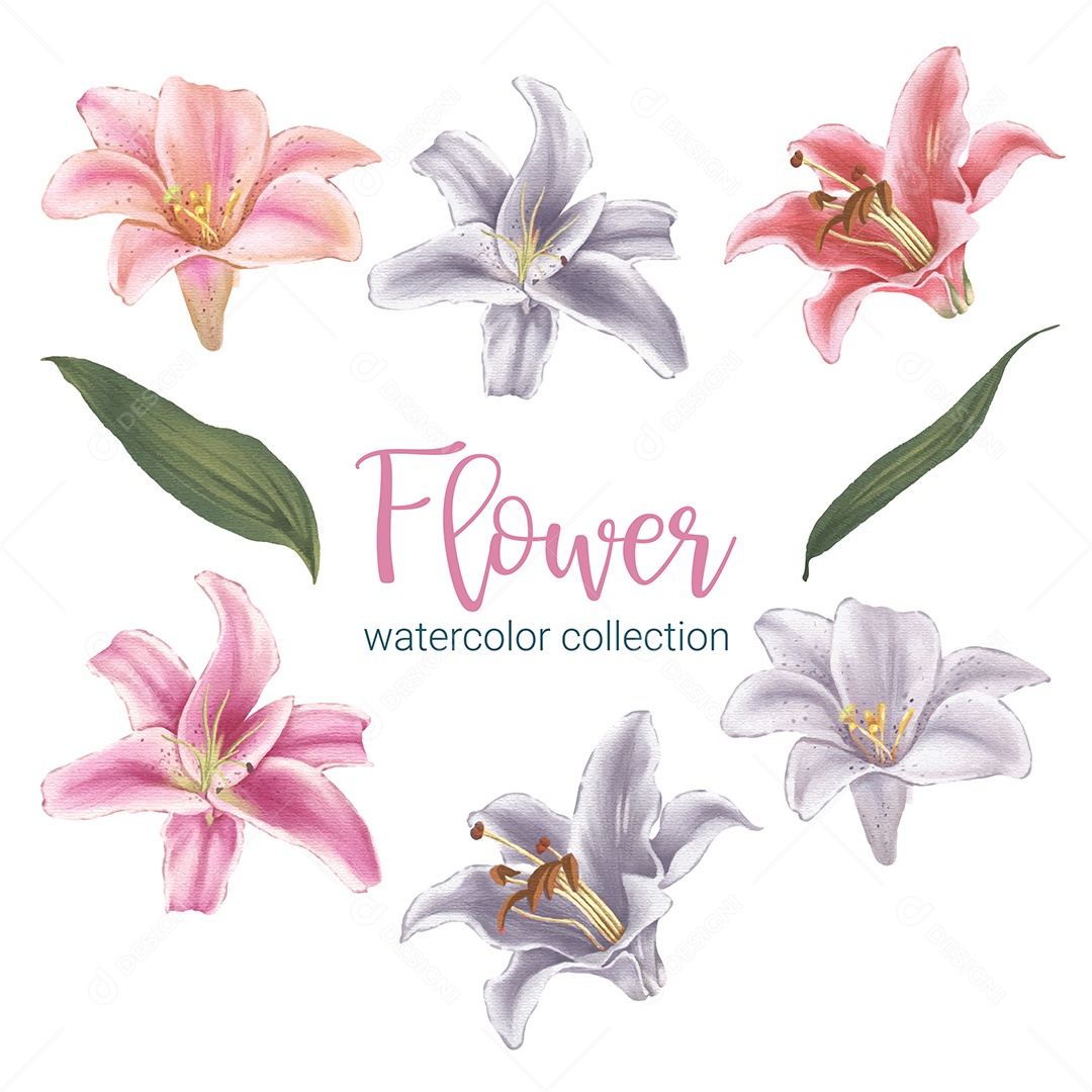 Lindo buquê de flores em Aquarela Vetor EPS