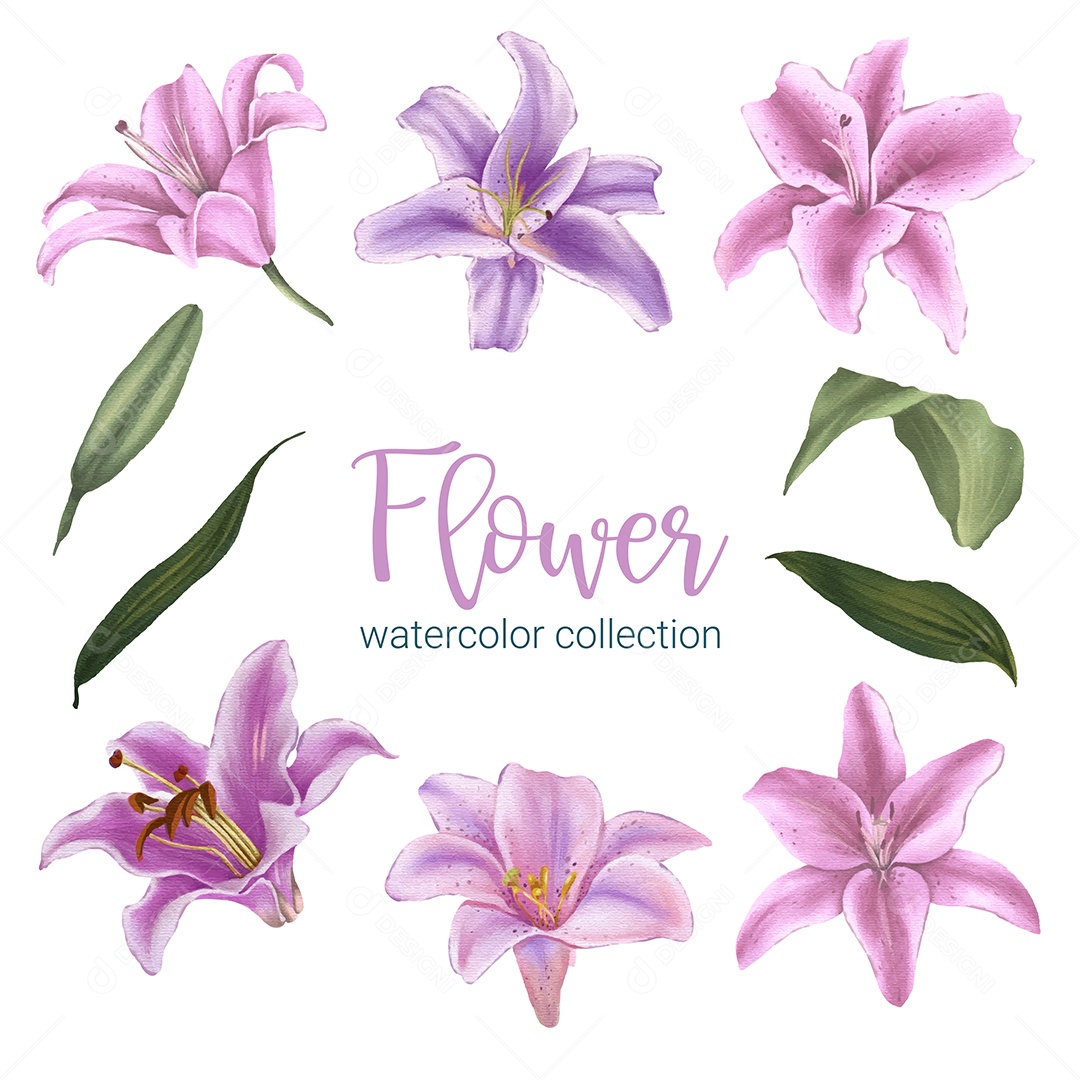 Lindo buquê de flores em Aquarela Vetor EPS