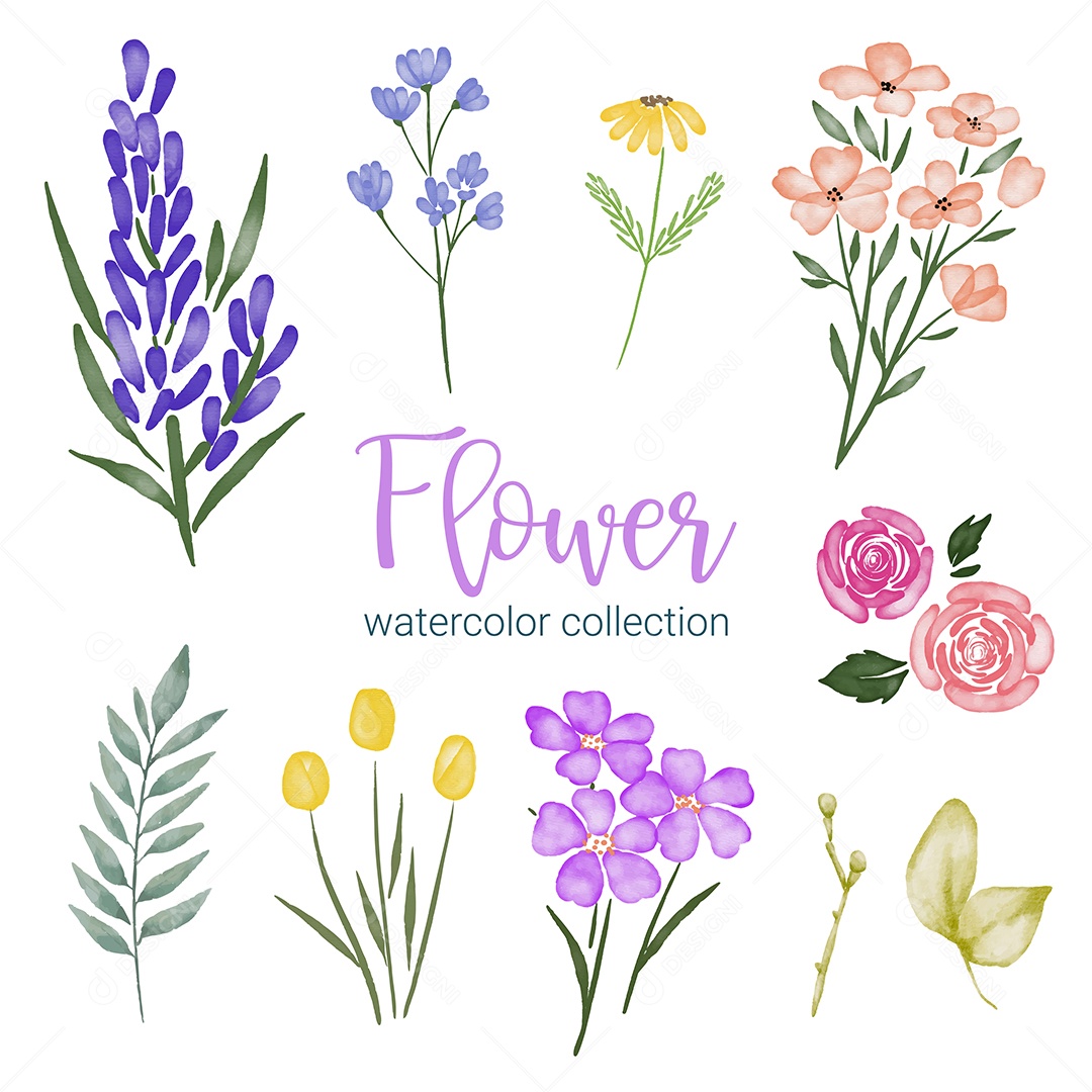 Lindo buquê de flores em Aquarela Vetor EPS