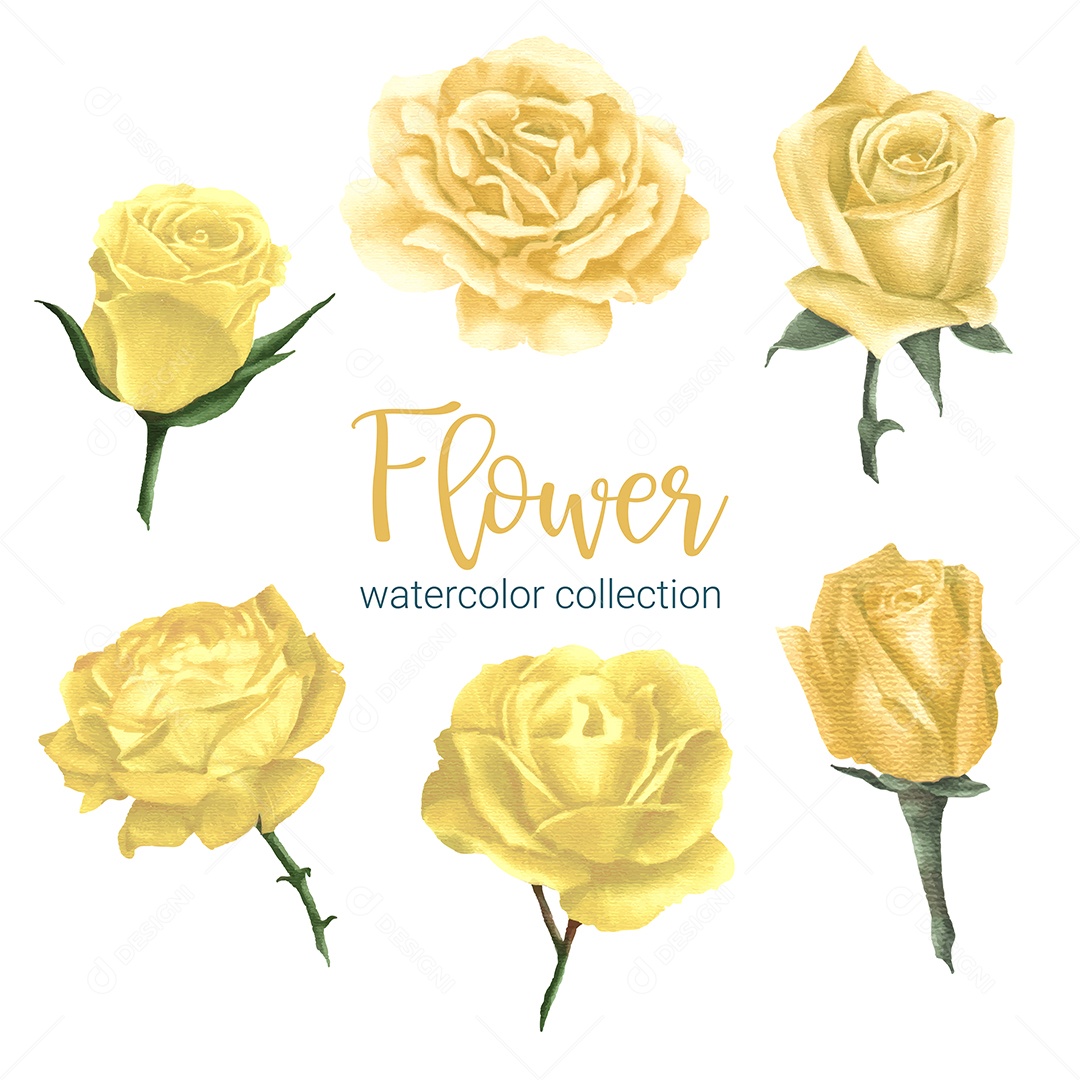 Lindo buquê de flores Amarelo em Aquarela Vetor EPS