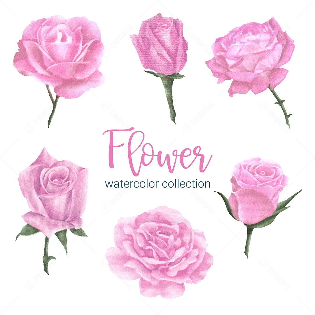 Lindo buquê de flores rosa em Aquarela Vetor EPS