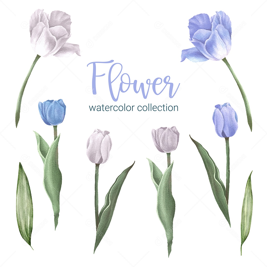 Lindo buquê de flores em Aquarela Vetor EPS