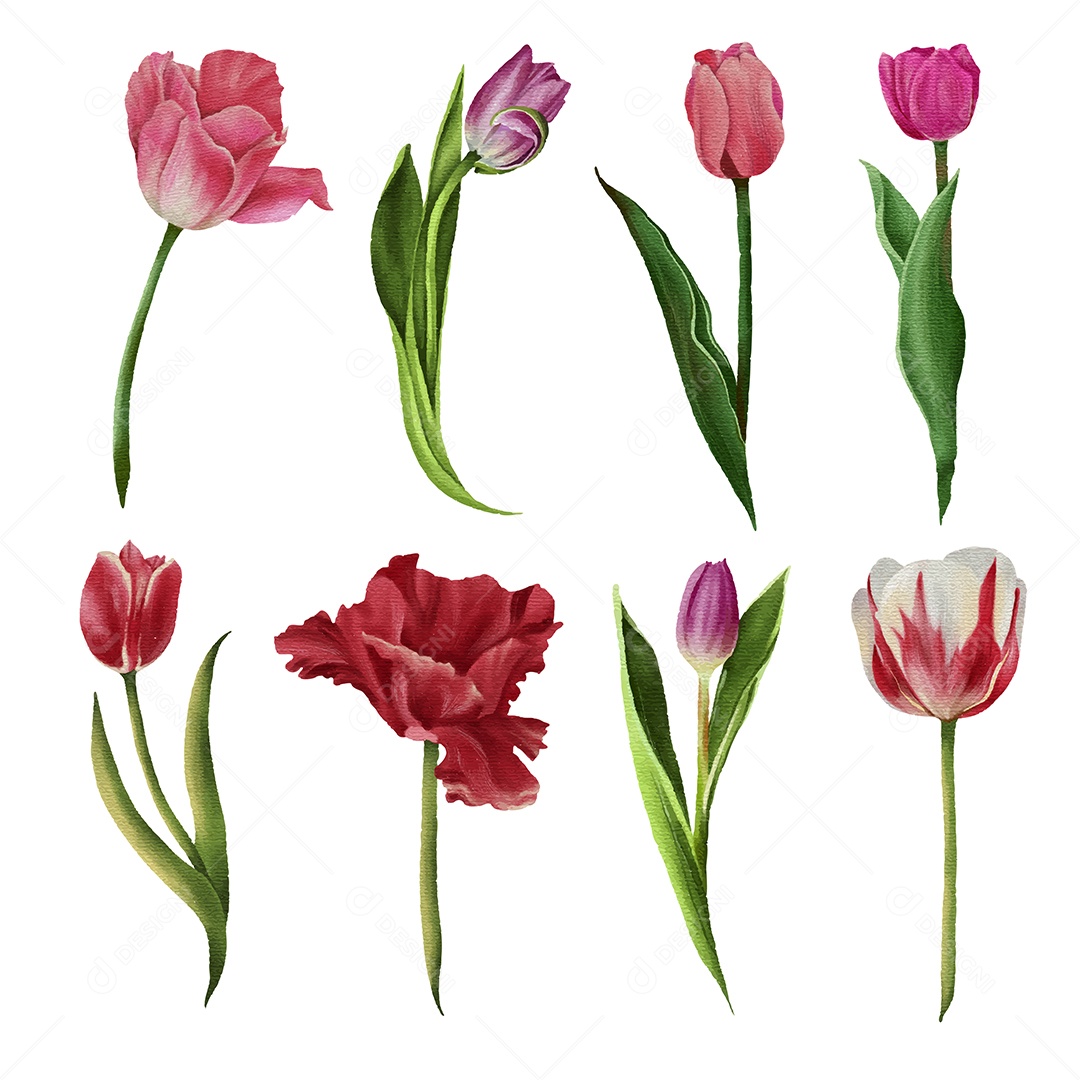 Lindo buquê de flores em Aquarela Vetor EPS