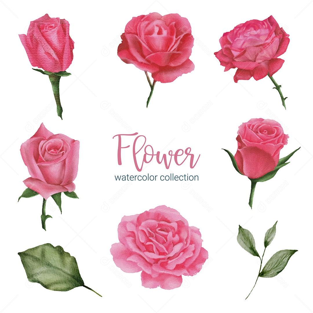 Lindo buquê de flores em Aquarela Vetor EPS