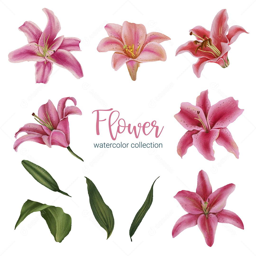 Lindo buquê de flores e deixe no estilo de cores de água Vetor EPS