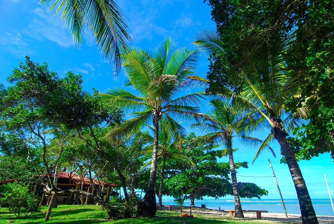 Arraial dAjuda é um distrito do município brasileiro de Porto Seguro, no litoral do estado da Bahia.