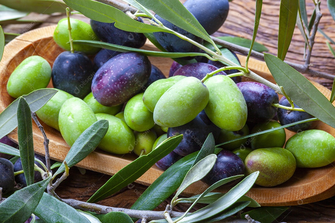 Azeitonas verdes e pretas direto da árvore