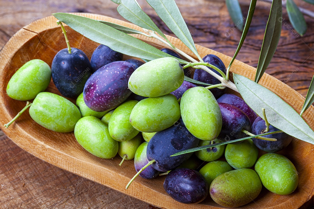 Azeitonas verdes e pretas direto da árvore
