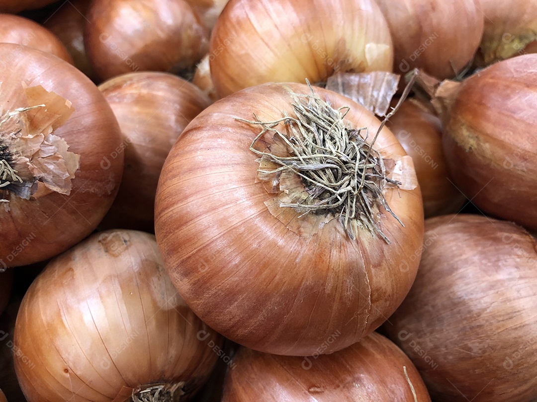 Cesta de cebola no mercado