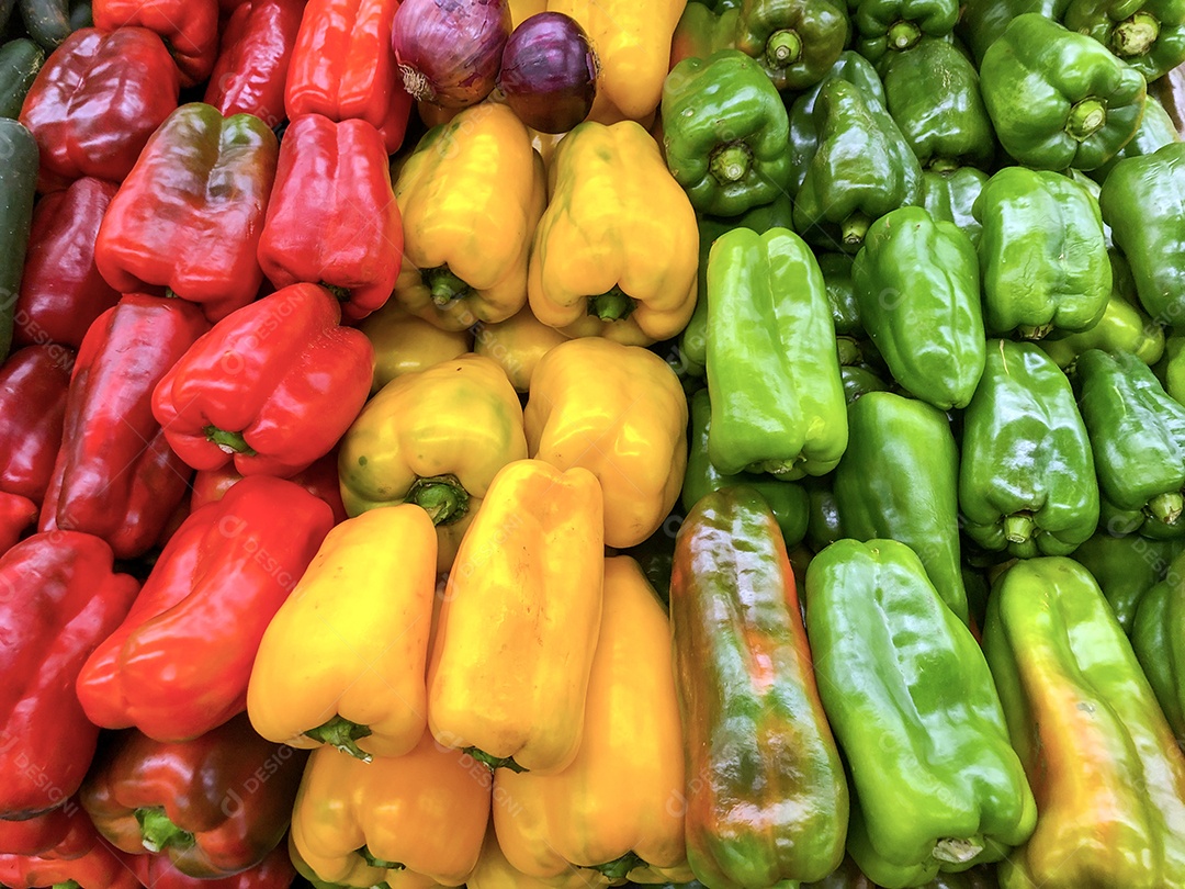 Pimentão frutos com diferentes cores sabores inigualável