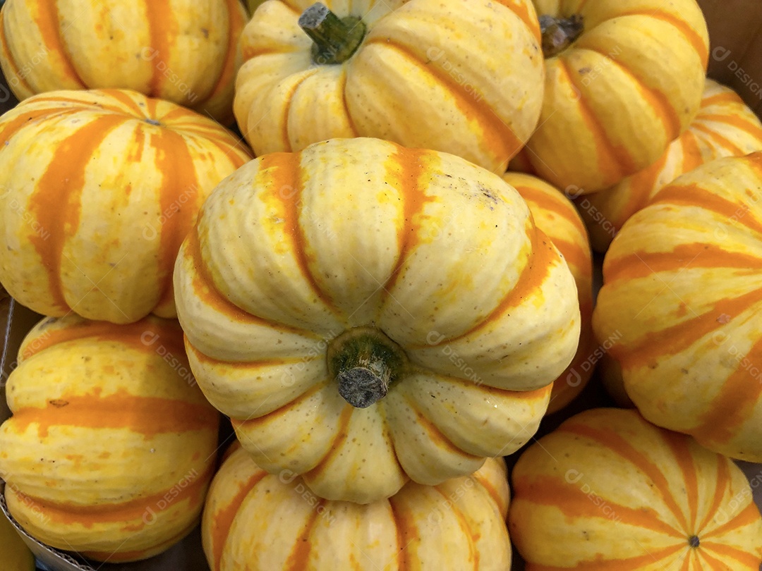 Abóbora laranja no mercado