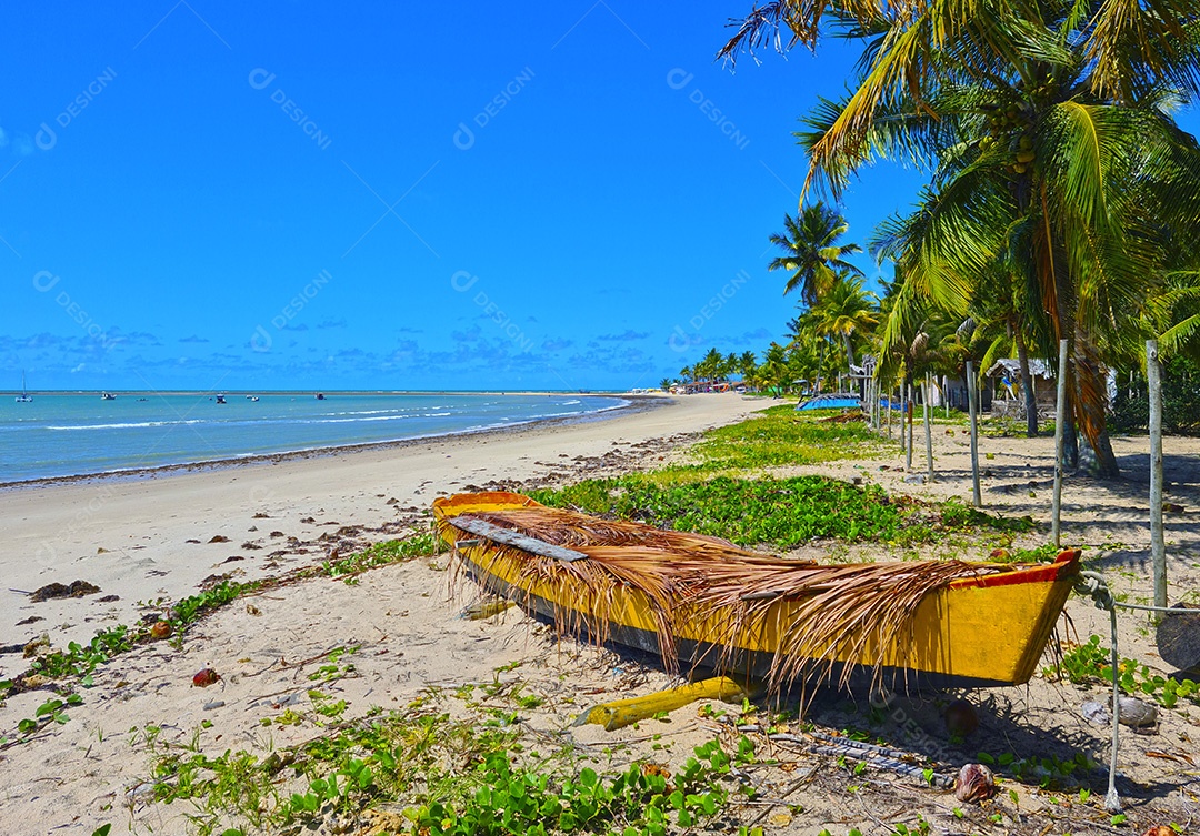 Barco beira mar na praia da coroa vermelha