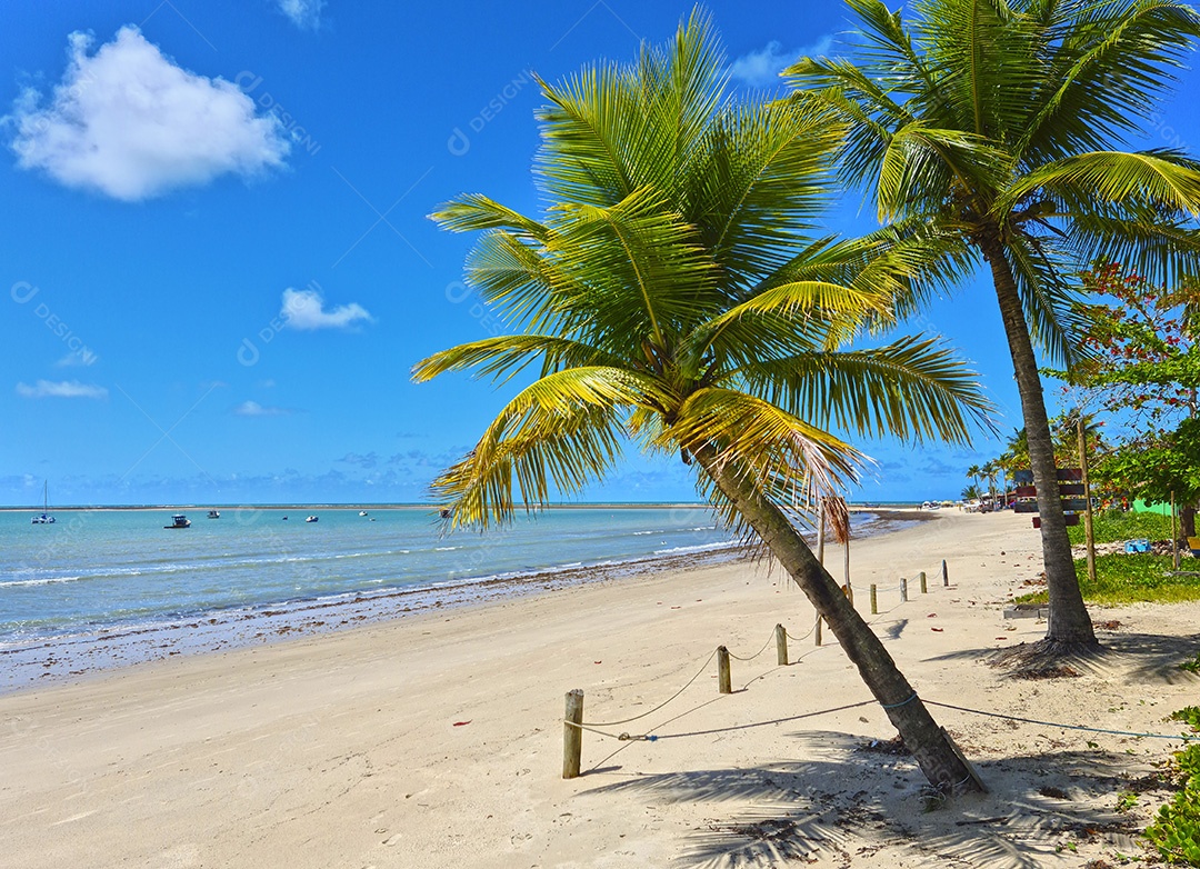 Praia da coroa vermelha em Porto Seguro Bahia