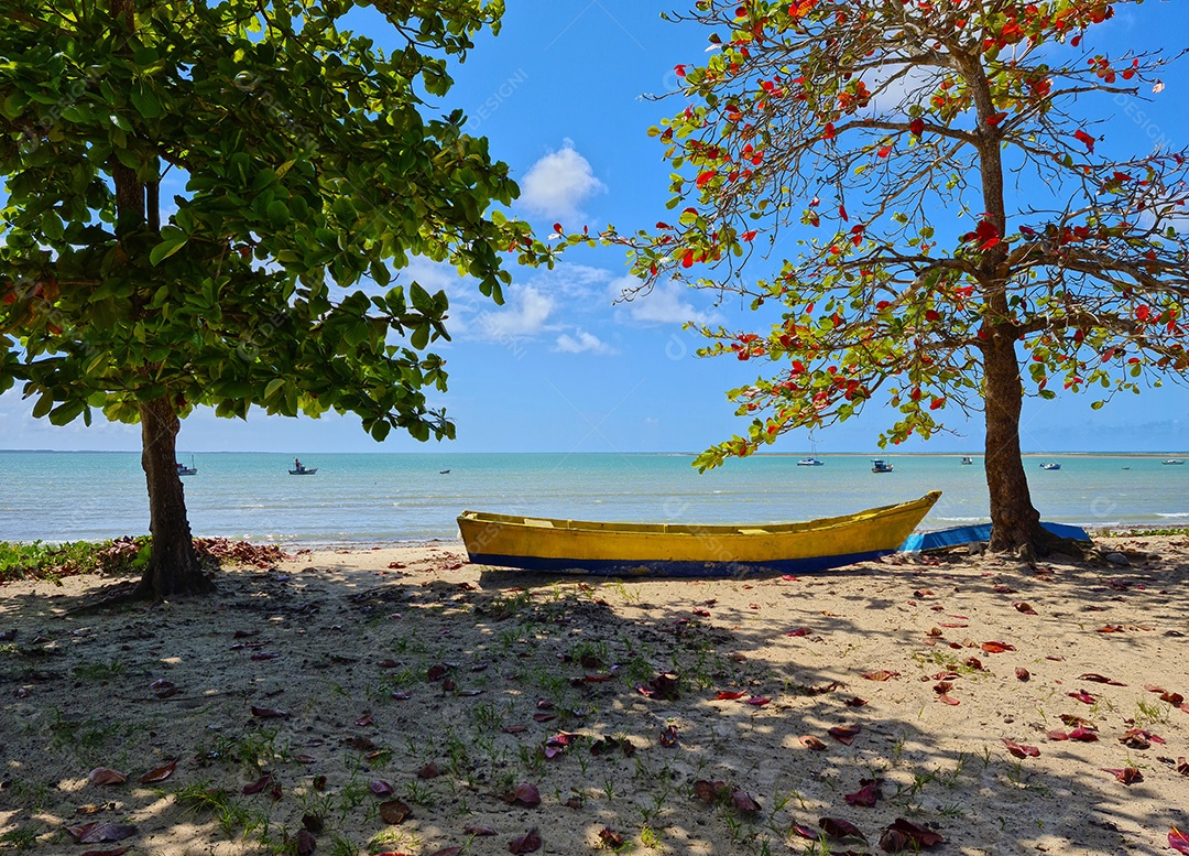 Barco beira mar na praia da coroa vermelha