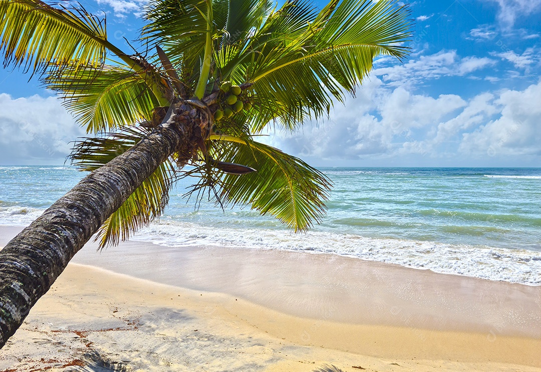 Paisagem perfeita da praia do Arraial D´ajuda