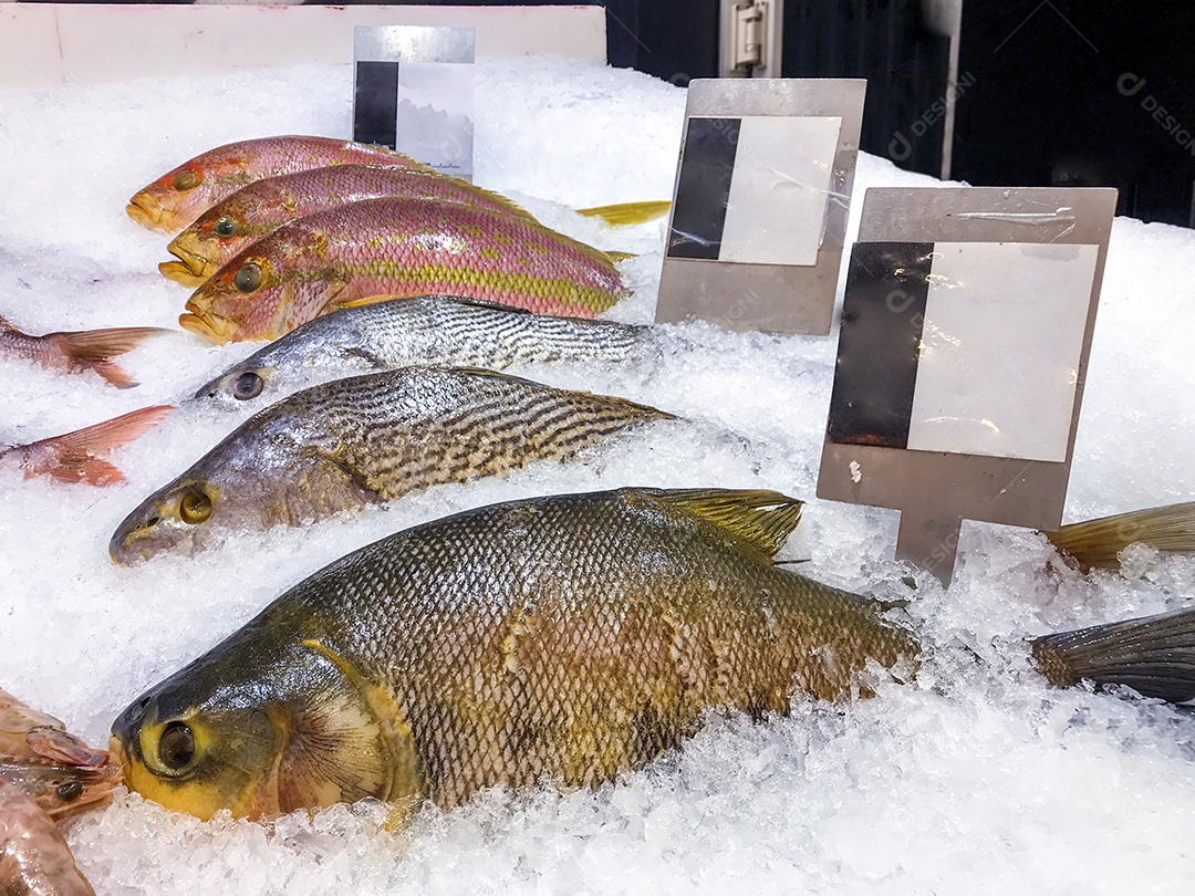 Peixaria com peixes frescos no gelo