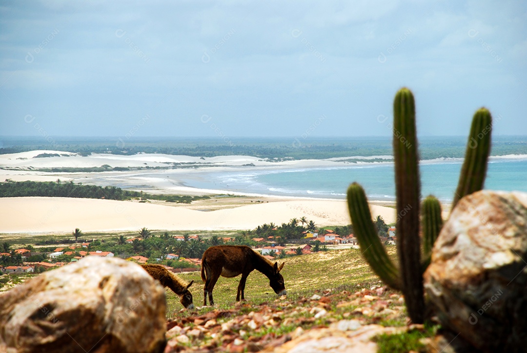 Jericoacoara é uma praia virgem escondida atrás das dunas da costa oeste de Jijoca de Jericoacoar