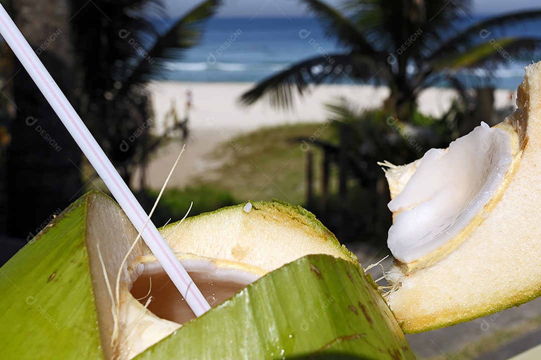 Coco verde na palmeira