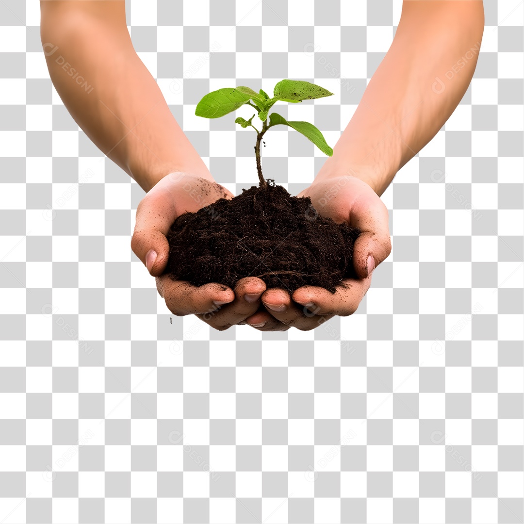 Mãos Segurando Terra com Planta PNG Transparente
