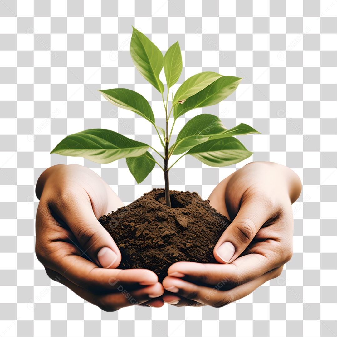 Mãos Segurando Terra com Planta PNG Transparente