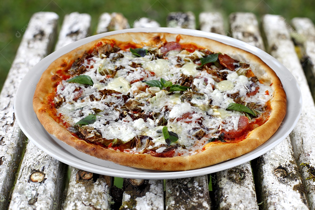 Pizza de queijo com frango