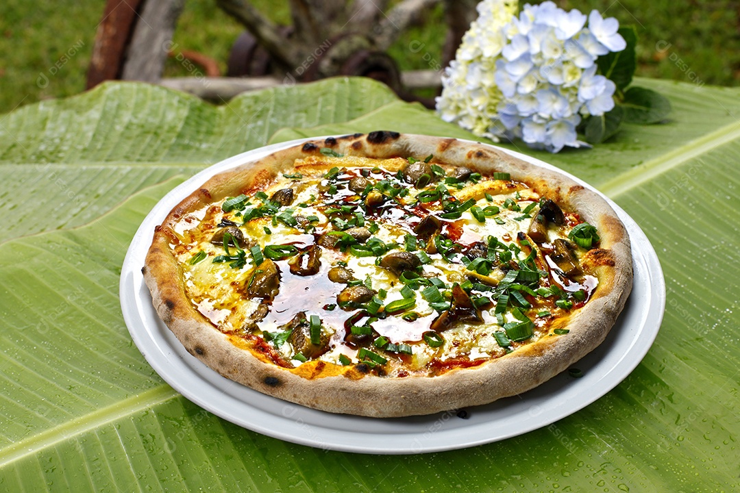 Pizza de cogumelo com queijo