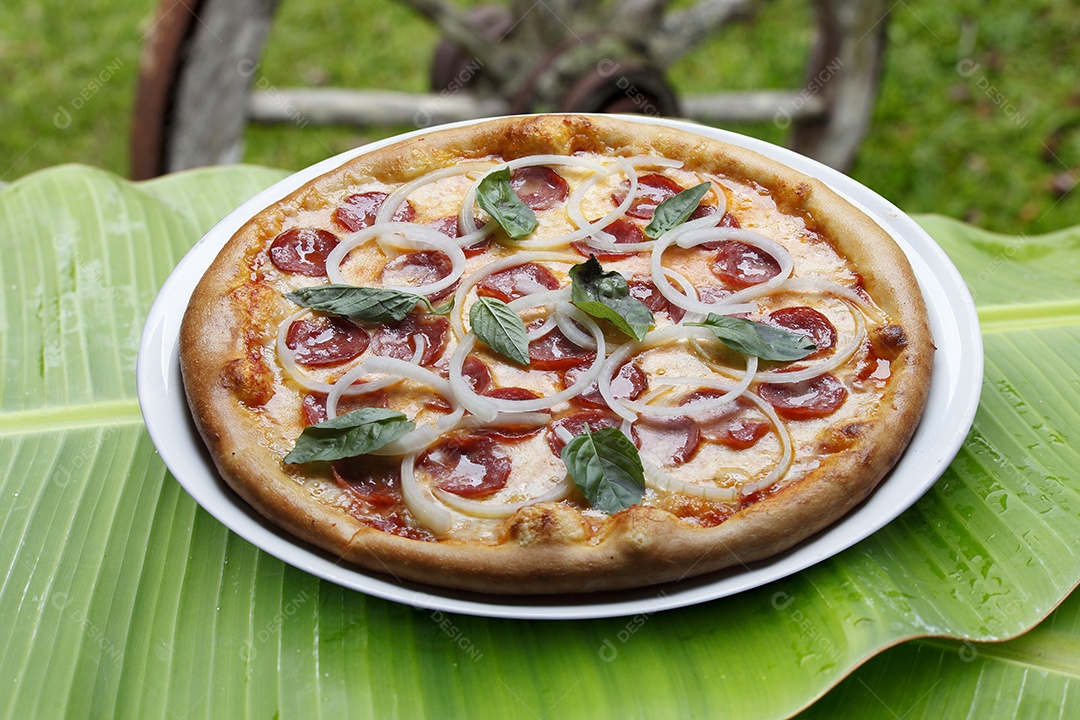 Pizza de queijo e manjericão