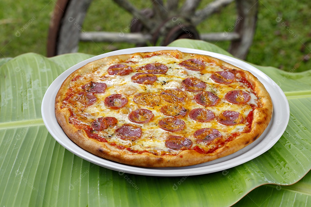 Deliciosa pizza assada sobre mesa de madeira