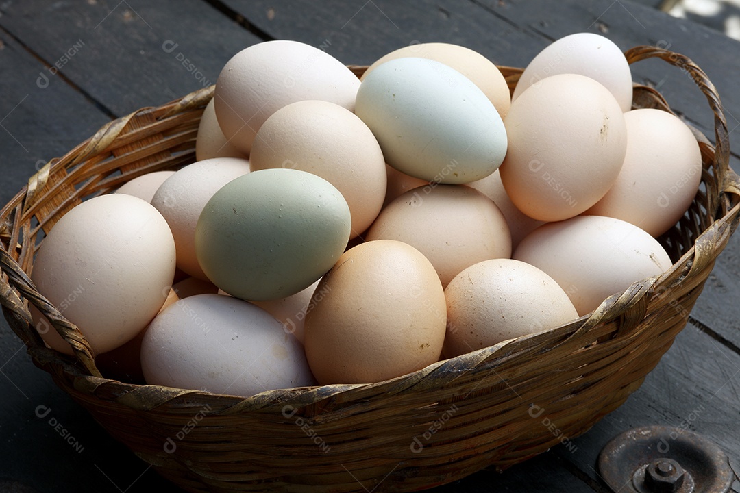 Fazenda de ovos frescos