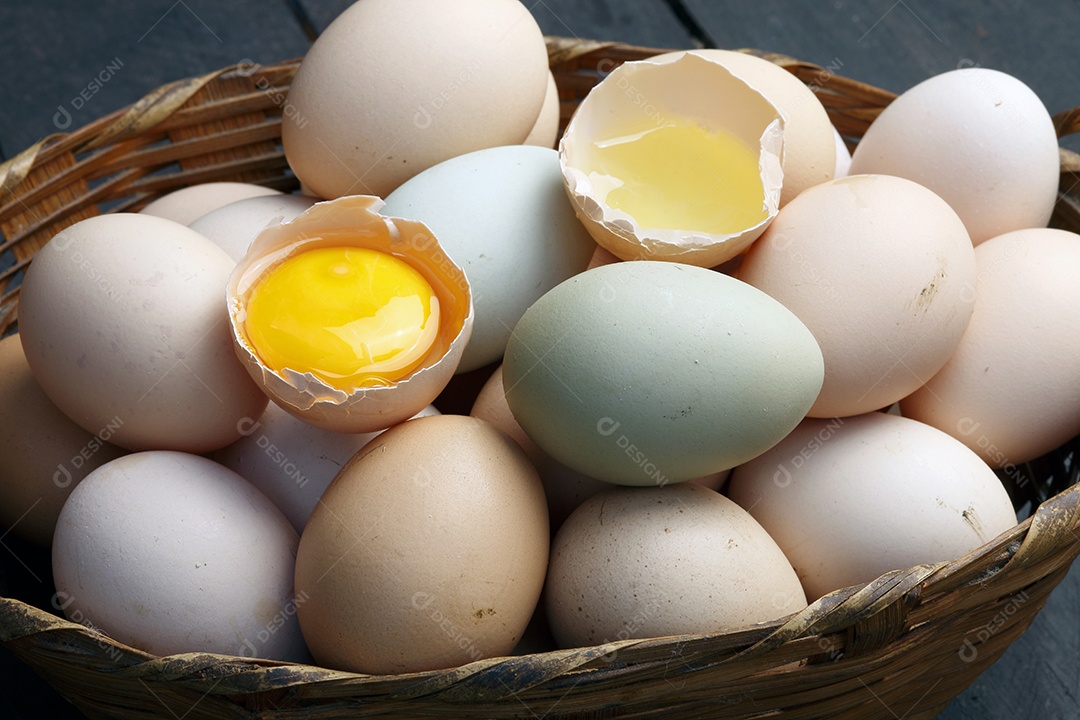 Fazenda de ovos frescos