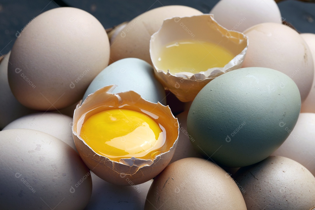 Fazenda de ovos frescos